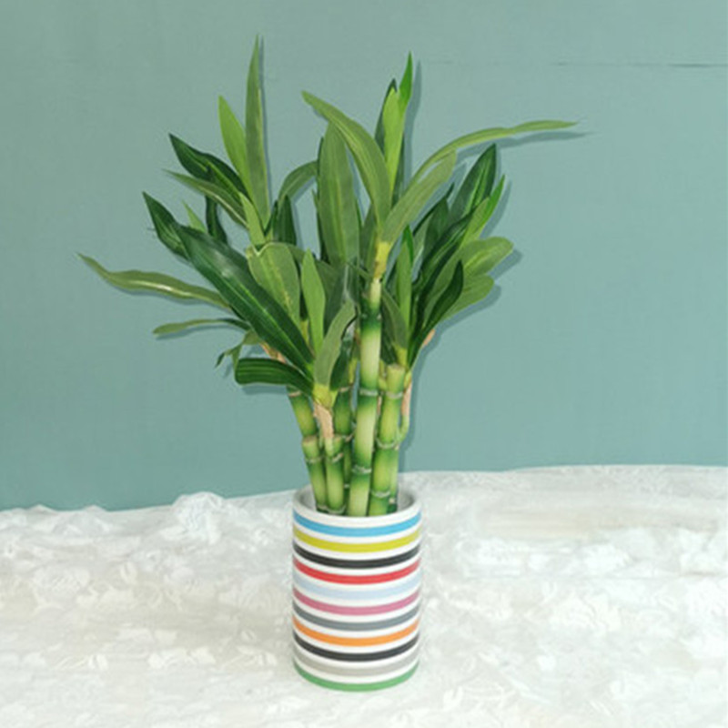 새로운 40cm rFtificial 행운의 대나무 즙이 - Outdoor Furniture Green 리뷰 및 가격